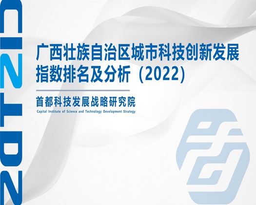 啊好深大鸡巴日逼视频【成果发布】广西壮族自治区城市科技创新发展指数排名及分析（2022）